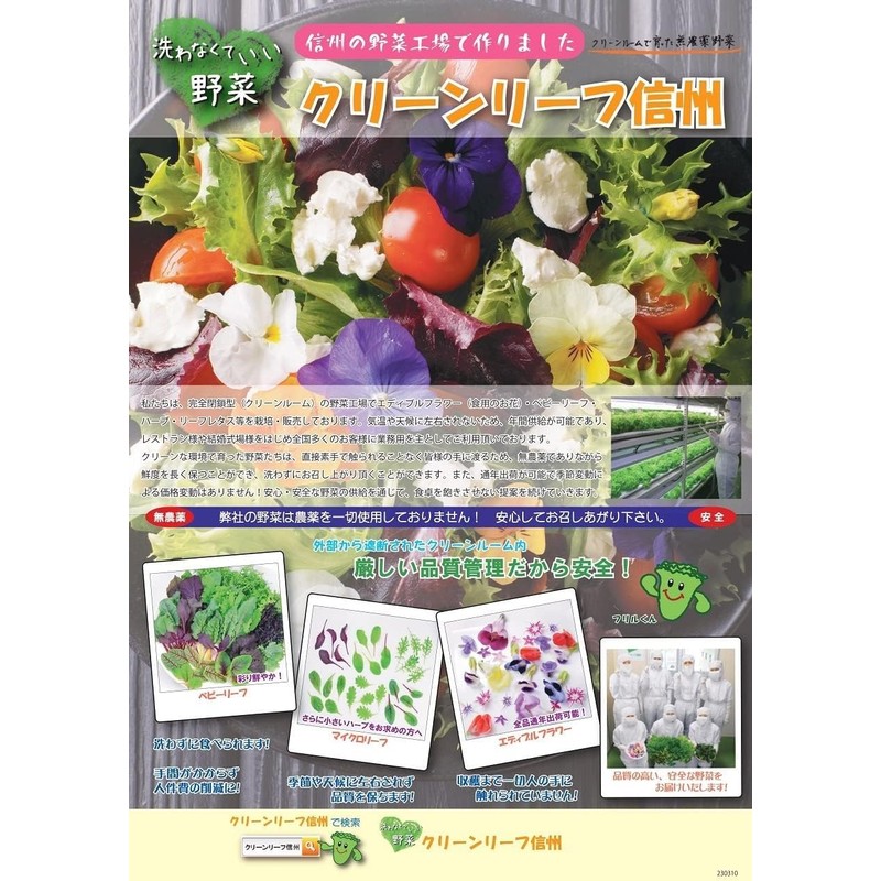 [No Need to Wash Vegetables] 6 Items "Random Set" Super