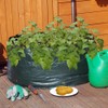 Giant Potato Planter Grow Bag