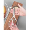 Jasni 100% Full Stainless Steel separable Sharp Powerful Kitchen Scissors
