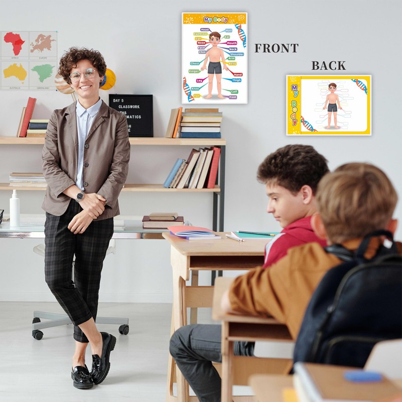 Laminated My Body Interactive Educational Poster Set for Kids (2-Pack)