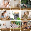 Citronella Candles Set - 4-Pack Natural Soy Wax Candles