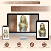 AFBeauty Honey Blond Lace Front Wig Long Blonde Lace Front