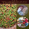 Cedar Farm Salted Fresh Pepper (Organic JAS Certified), Kampot Pepper