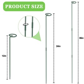 36 Inch Plant Stakes Tall, Three Sizes(12 or 24 or 36 Inch) Plant Support Stakes for Outdoor or Indoor,Garden Plant Stakes for Flowers Amaryllis Tomato Lily Peony Rose Flower Narcissus (4 Set)