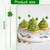 St Patricks Themed Party Decoration Supplies Toothpicks for Appetizers 100