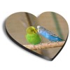 1 x Heart MDF Magnets - Kissing Budgie Birds Bird