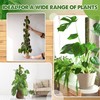 Duspro DUSPRO Stackable Mesh Moss Pole for Plants Monstera Potted