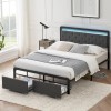 Merxeng ⏯Queen Bed Frame Platform Bed Frame with LED Lights