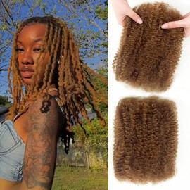 Carlence 14 Inch Afro Kinky-Curly Human Hair Bulk for Twist Honey Brown Human Kinkyhair for Mini Twist,Dreadlocks Extensions