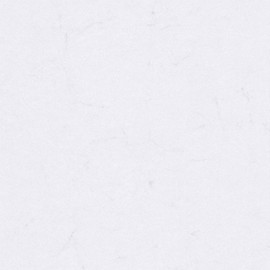 ZANDERS Elefantenhaut Office DIN A4 110g/m ws