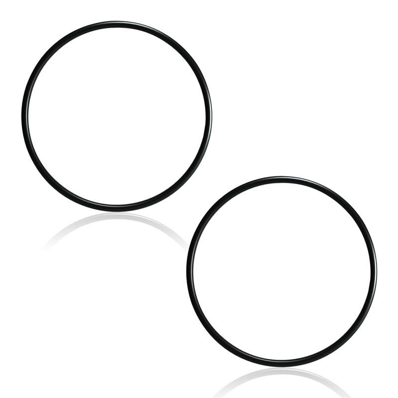 P6119 (P6119ASS16) O-Ring for Bestway Flowclear Pump Filter Cap Cover