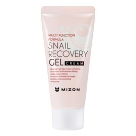 Mizon Snail Recovery Gel Cream, 45ml, 1 piece / 미즈온 스네일 리커버리 젤 크림, 45ml, 1개
