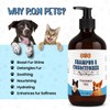 POM Pets 2-in-1 Organic Dog Shampoo & Conditioner – Itchy