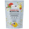 Tea People Bombay Chai - 50 Pyramid Refill Pack