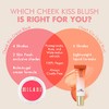 Milani Cheek Kiss Liquid Blush Makeup - Blendable & Buildable