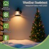 GRUENLICH Outdoor Wall Lantern, Wall Sconce as Porch Lighting Fixture,
