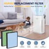 2 Pack HSP002 Replacement Filter Compatible with HATHASPACE HSP002 Smart