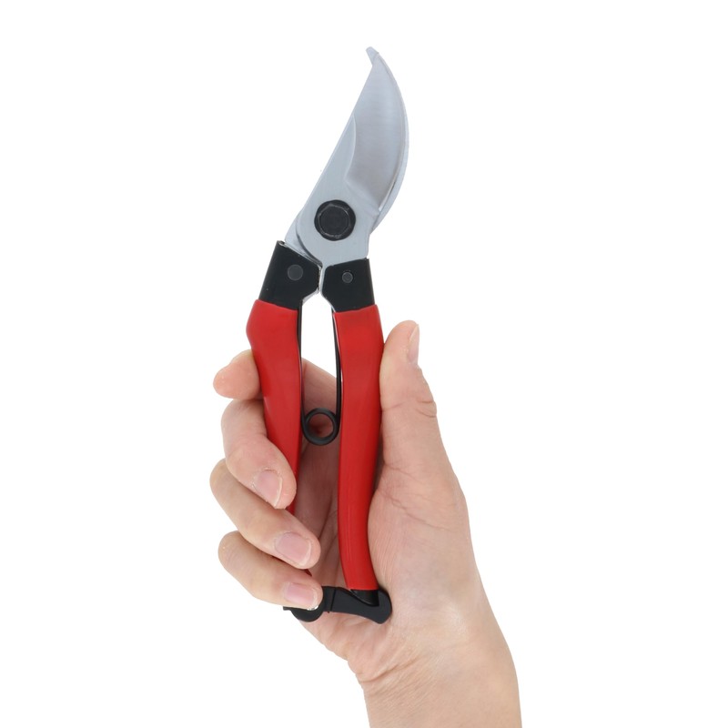 Takagi Sunflower Factory x TAKAGI Pruning Shears, 7.9 inches (200