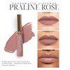 LipSense PRALINE ROSE HydraMatte Senegence Long Lasting Lip Color Item
