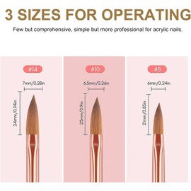 3PCS Acrylic Nail Brush Set – Professional Nail Art Brushes in Sizes 6, 8, 10 – Durable, Easy to Clean, and Perfect for Nail Art Designs