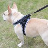 Mercano Soft Mesh Dog Harness and Leash Set, No-Chock Step-in