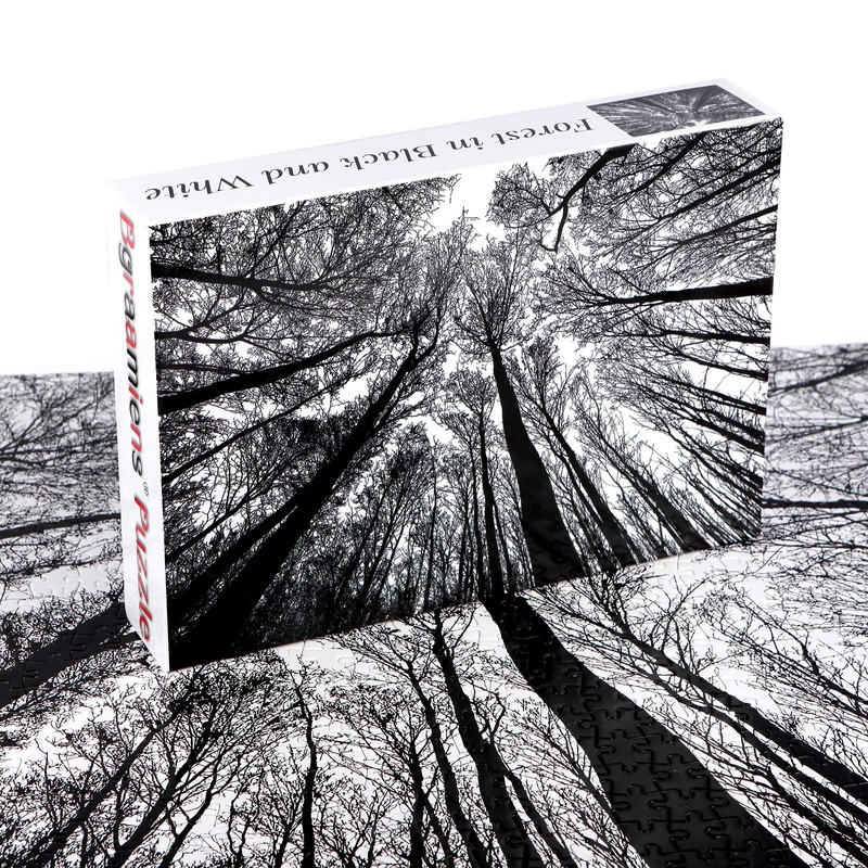 Bgraamiens Puzzle-Forest in Black and White-1000 Pieces Creative Black and