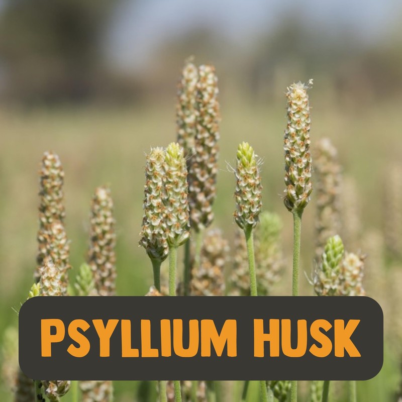 Cupplement - 4 Bags of Psyllium Fibres Powder 300 g