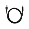 PPA Int'l 6ft USB 2.0 A Male to B Male