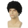 Salaibs Afro Black Wigs for Men 80s Short Curly Elf