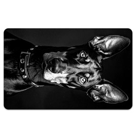Peacoblue Bank Card Sticker - Black and White Doberman Credit/Debit Card Custom Skin Cover - Waterproof, Scratch-Proof, 4 Styles