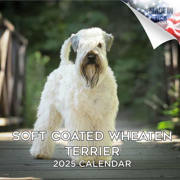 2024 2025 Softcoat Wheaten Terrier Calendar - Dog Breed Monthly