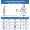 Eisenwaren2000 M10 x 25 mm Rounded Head Screws with Hexagon