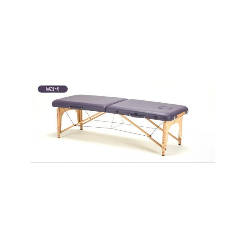 Foldable/Massage/Beauty Salons/Skin Care/Home Use/Portable