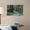 CANVAS ON DEMAND Redwood Forest II Wall Decal, Tree Artwork