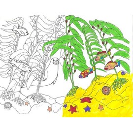 Finding the True Stars of the Ocean: A Realistic Sea Life Coloring Book for Future Marine Biologists