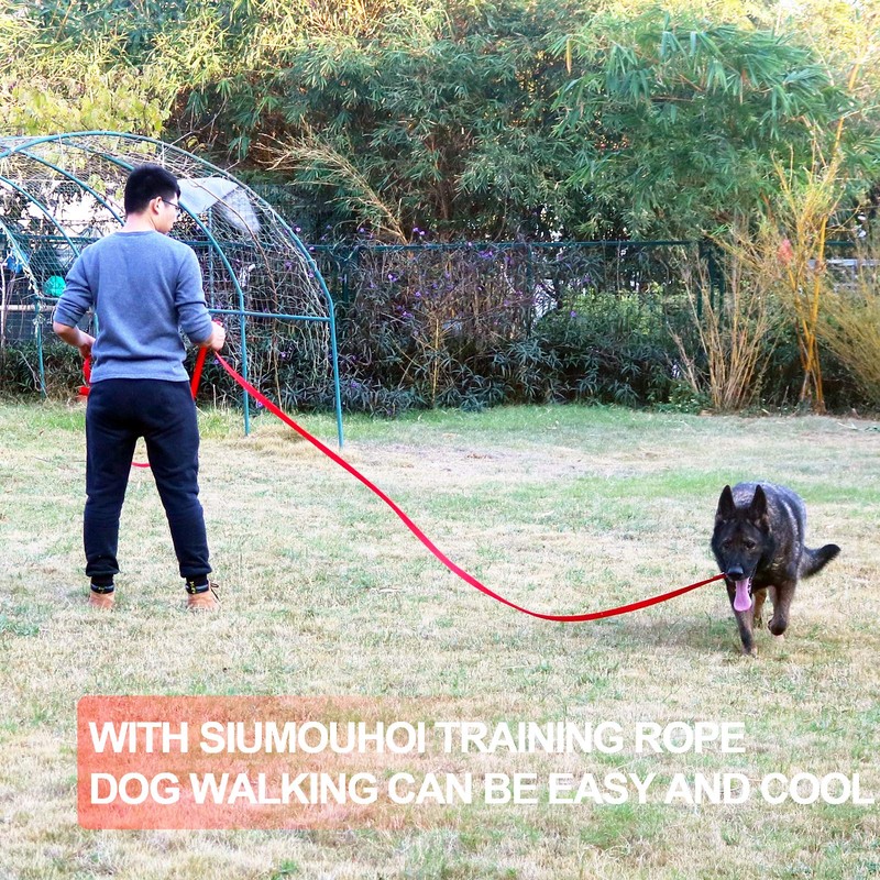 Dog/Puppy Obedience Recall Training Agility Lead - 15ft 20ft 30ft