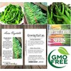Big Pack - (1,500) Chinese Broccoli, Kailan GAI LAN Seeds