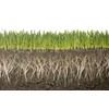 Soil Moist SAP 2 Pounds Water Storing Crystals Super Absorbent