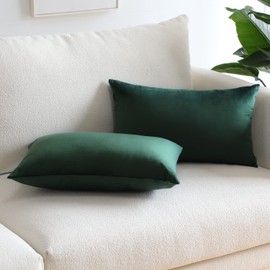 Sungeek Pack of 2 Velvet Cushion Covers Soft Decorative Pillow Covers with Invisible Zipper Luxury Throw Pillow Cases for Home Decor Sofa Bedroom Living Room 30x50cm Dark Green