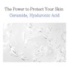 Pyunkang Yul [Pyunkang Yul]Essence Toner Pad (70ea)