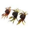 Pojedehy 10 Pcs Crab Bait, 3D Simulation Crab Soft Bait