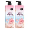 On the Body Body Wash Cherry Blossom, 900g, 2 pcs / 온더바디 바디워시 체리블라썸, 900g, 2개