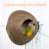 Coconut Shell Birds Nest- Natural Coconut Shell Bird Nest Keep