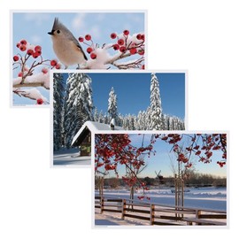 Hoffmaster 702079 Placemat Multipack, 3 Designs, 14" Length x 10" Width, Winter (Case of 1000)