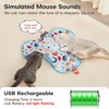 Potaroma Hide and Seek Interactive Cat Toys, Moving Concealed Wand