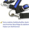 Halter for Horses Coldblood | Halter XXfull, Stable Halter Adjustable