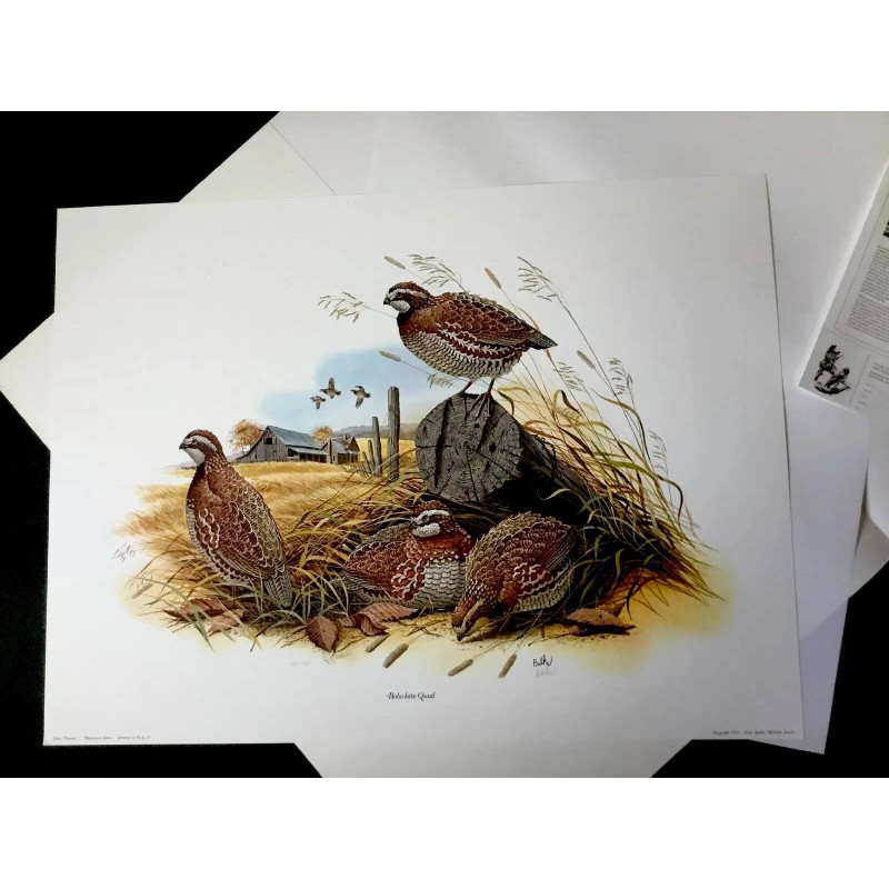 Don Balke BOBWHITE QUAIL (Masterpiece-1