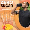 310 Nutrition Polvo de Electrolitos Sin Azúcar Sugar-Free Electrolyte Hydration