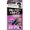 【3個セット】野口サプリメントシリーズ ブルーベリー&ルテイン 目の疲れ ブルーベリー 60粒（約30日分）