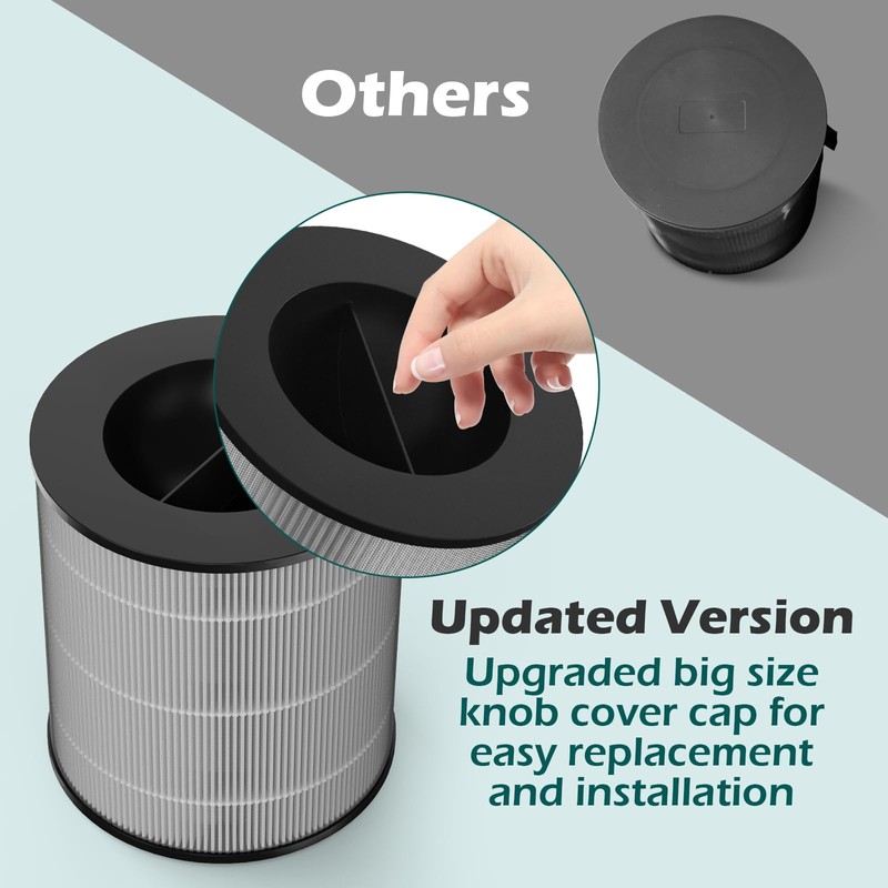 SAKEGDY 2-Pack JF100 Replacement Filter, Compatible with Jafanda JF100 Air